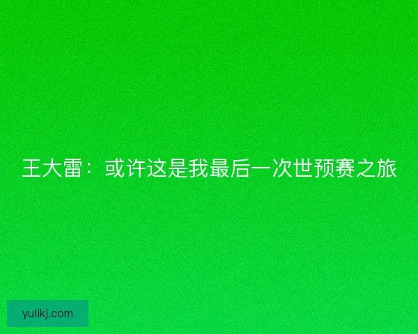 王大雷：或许这是我最后一次世预赛之旅